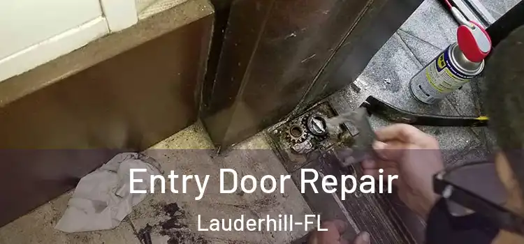 Entry Door Repair Lauderhill-FL